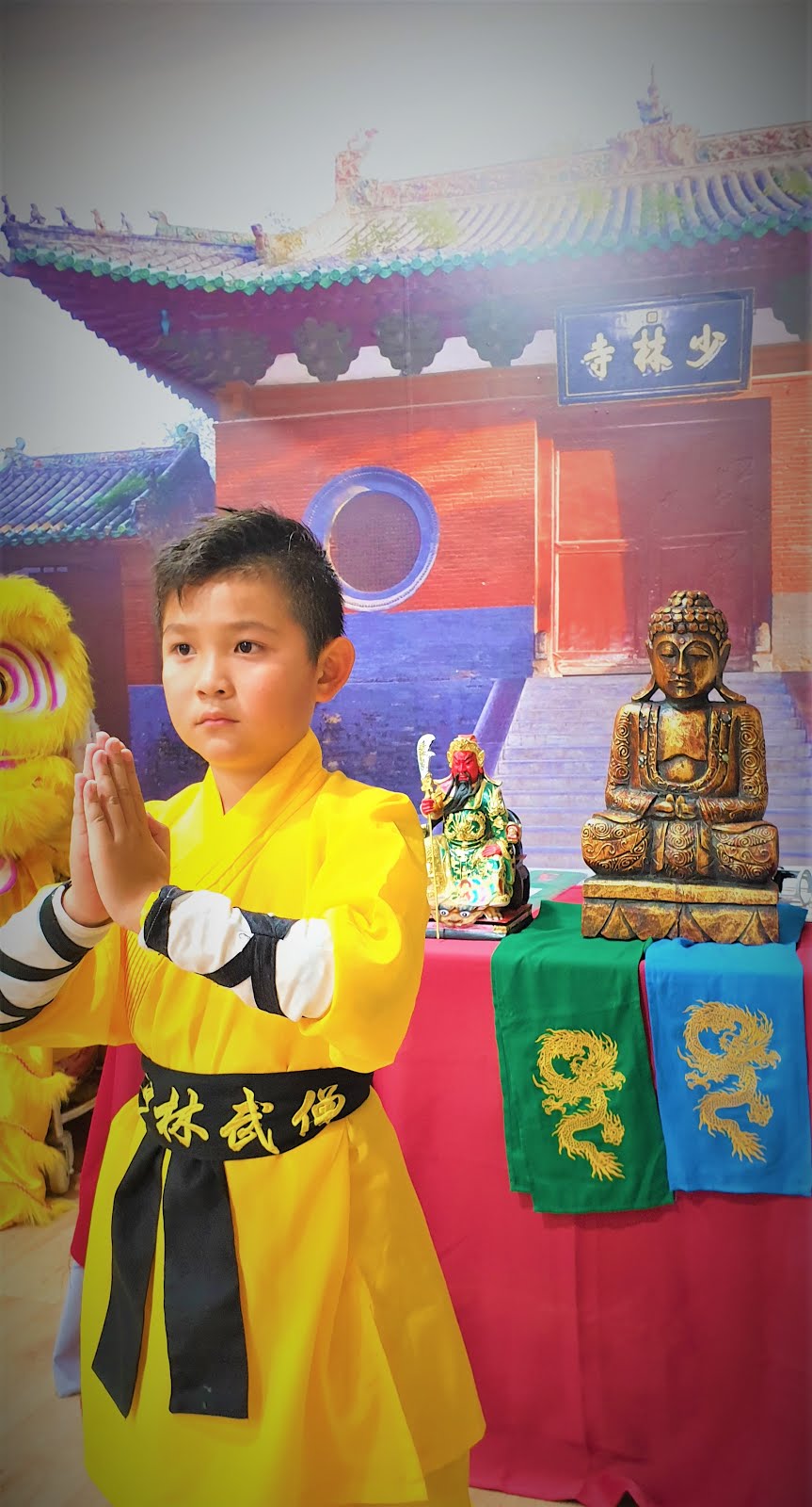 Kung-Fu Shaolin Wudang, Clases, Cursos , Niñas y Niños. Información: 626 992 139