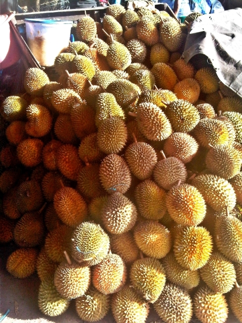 Durian bali: Durian enak di bali