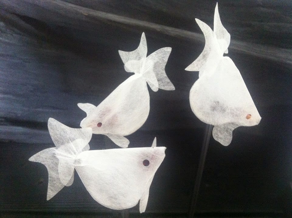 the goldfish tea bags