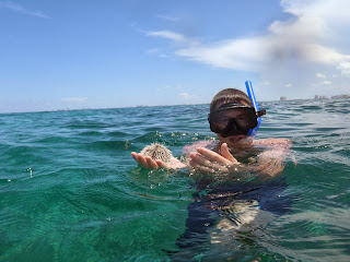 source:Ben Mayfield Me holding a sea urchin in Mexico