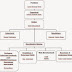 Struktur Organisasi KIM Swaraguna