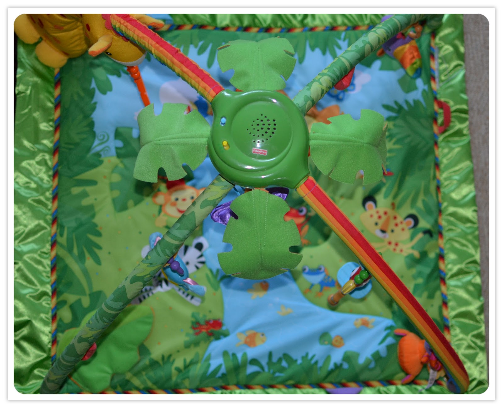 Mum's The Word How my life began at 30 Fisher Price Rainforest