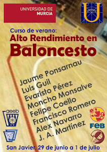 Cartel de 2011