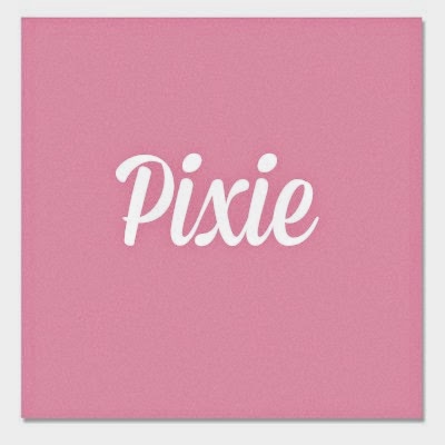 Close To My Heart pixie