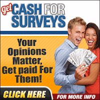 survey income survey income