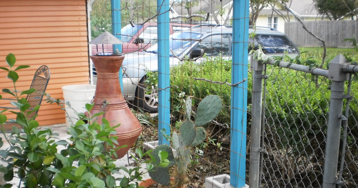 Earthly Gardener: Patio privacy screen/trellis progress