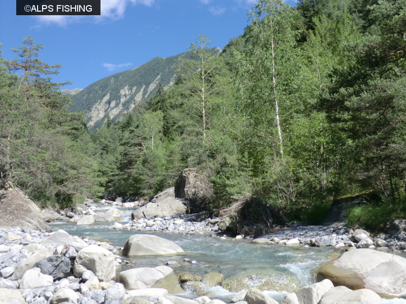bloggif_520623179fa11.jpeg