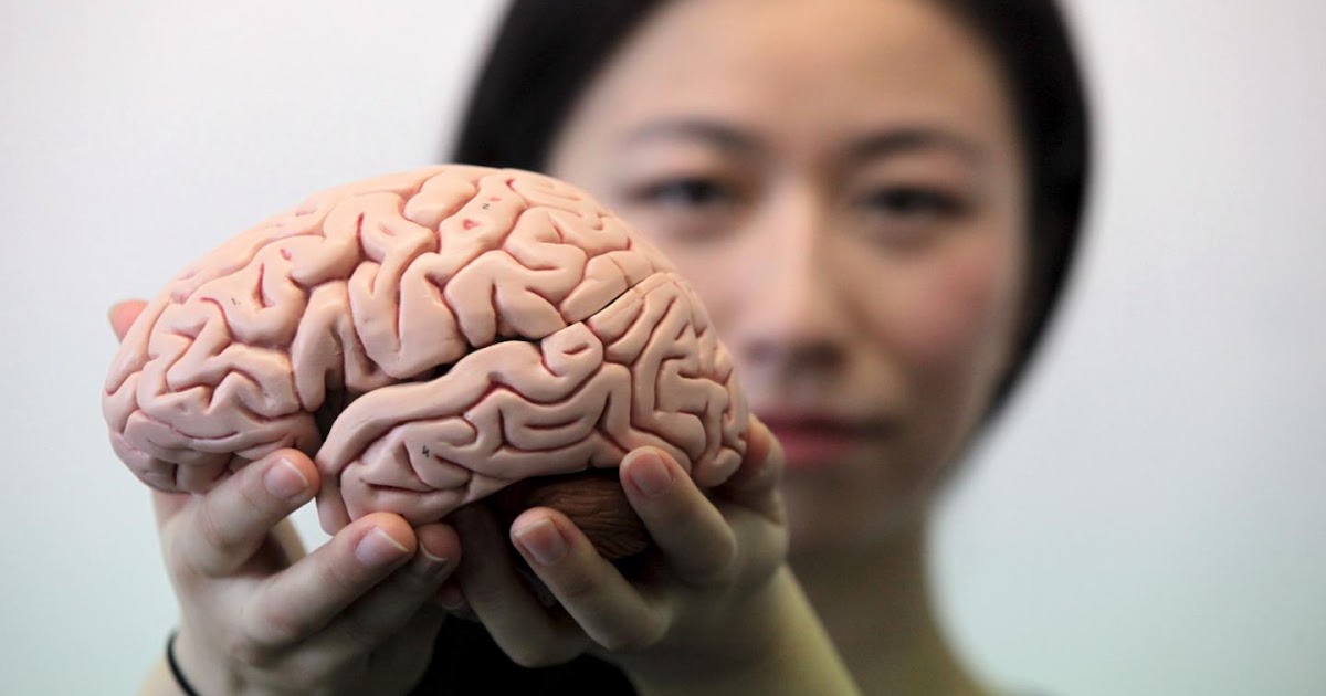 Мастурбатор В Виде Мозга