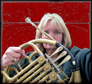 rehearsing 2011 - me and my vintage Rauch