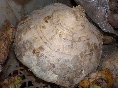 Image Result For Petua Hilangkan Jerawat Resdung Image Result For Petua Hilangkan Jerawat Resdung