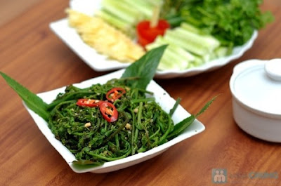 Công dụng chữa bệnh từ cây rau dớn rừng Tây Bắc Công dụng chữa bệnh từ cây rau dớn rừng Tây Bắc