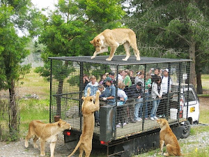 حديقة حيوان معكوسة الناس فى الأقفاص والحيوانات خارجها " بالفيديو "