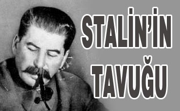 STALINİN TAVUĞU STALINİN TAVUĞU