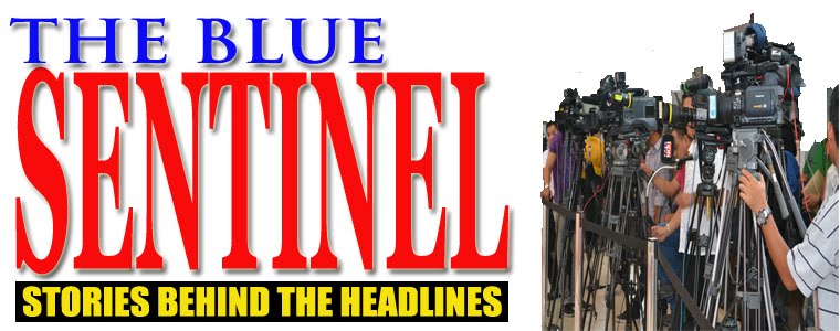 The Blue Sentinel