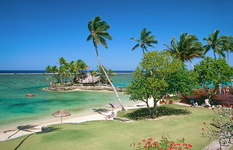 Starfish Along The Coral Coast Beach Photos Desktop HD