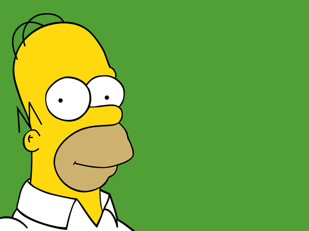 THE SIMPSONS HOMER the simpsons homer: