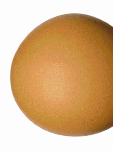 Sebiji Telur