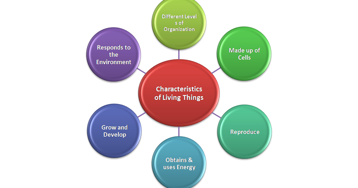 EduTech: Characteristics of Living Things