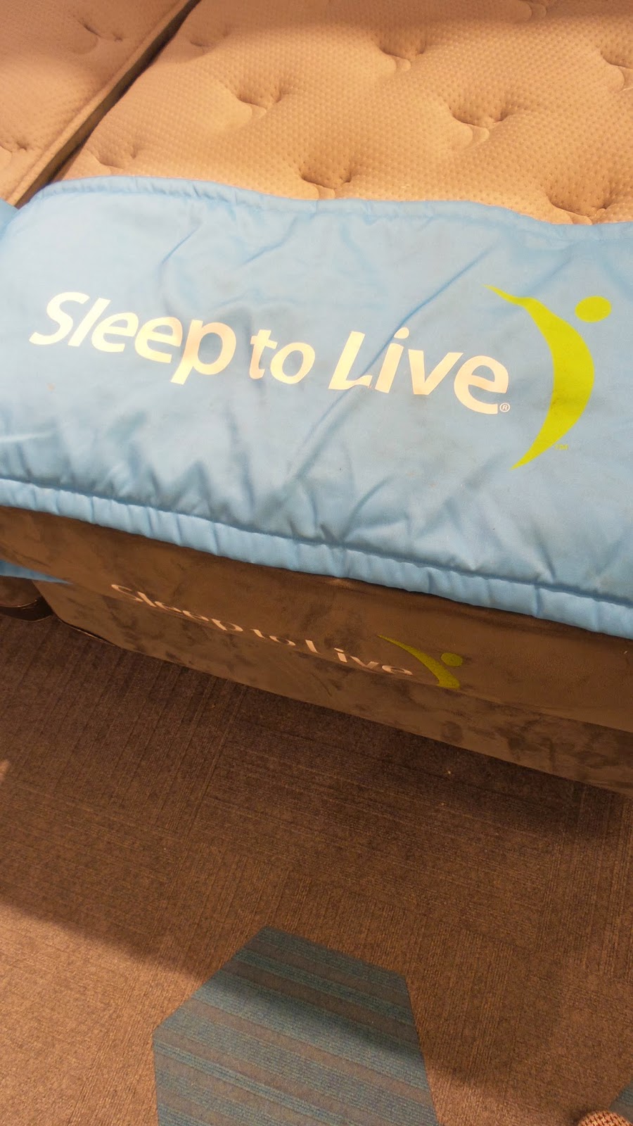 A Lucky Ladybug Purchasing a New Mattress That's Best for US