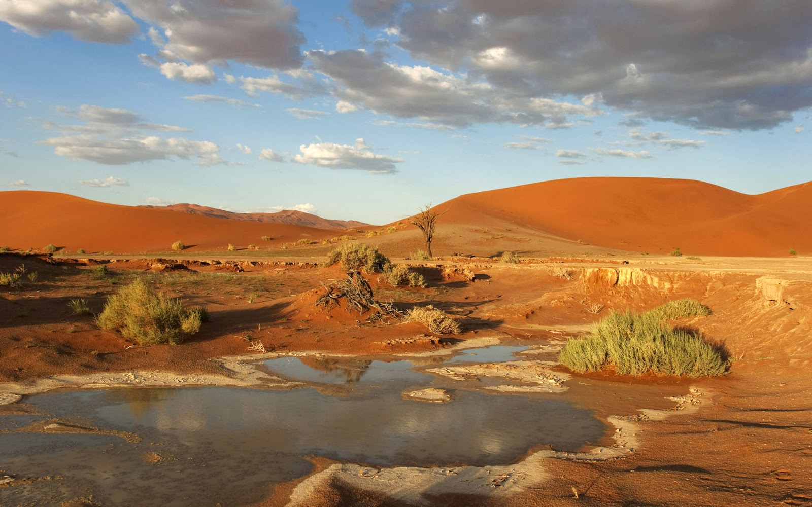 El Blog del paraíso de las letras: Foto de ecosistemas terrestres