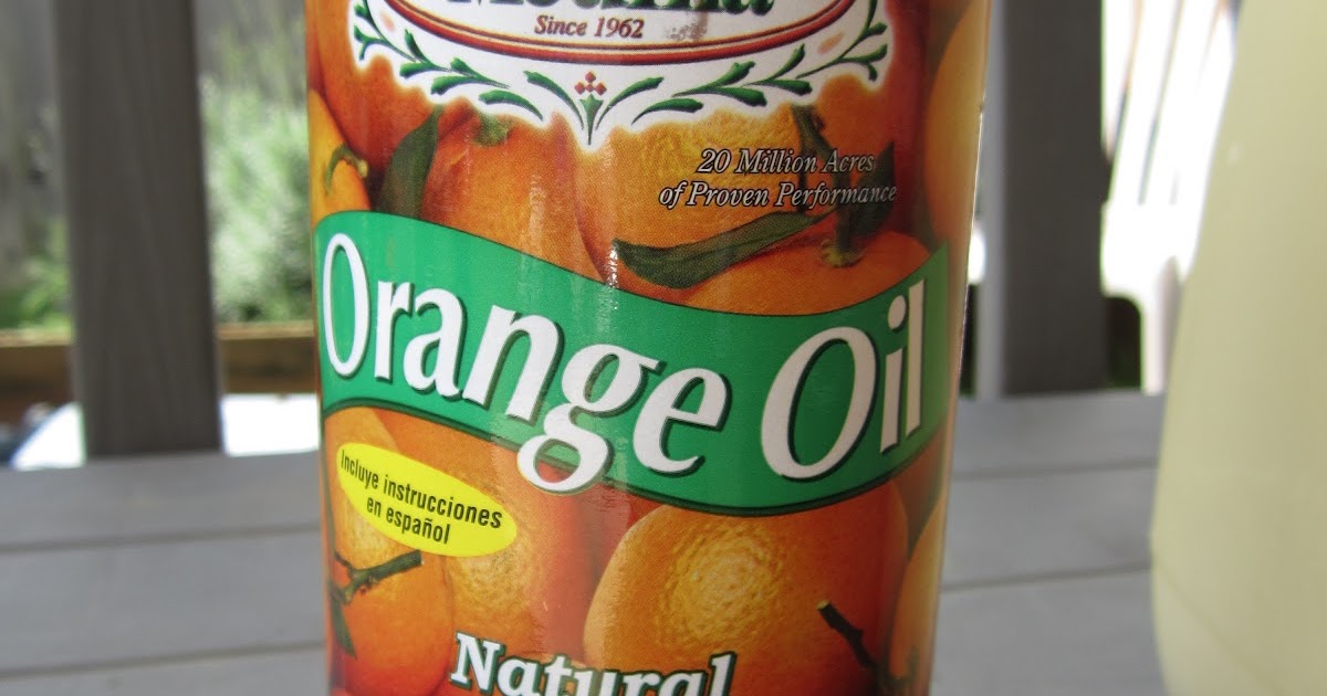 Universal Love Orange Oil and Ants!!!!