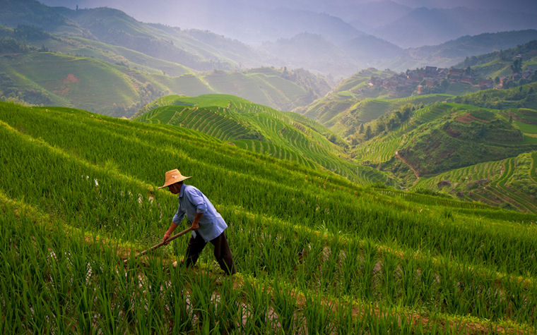 Campesino en su parcela de arróz en Guilin, China by Jesse Estes