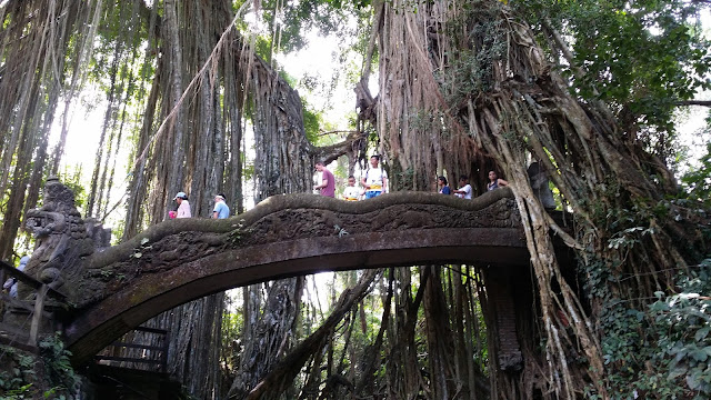 Monkey Forest (Ubud)