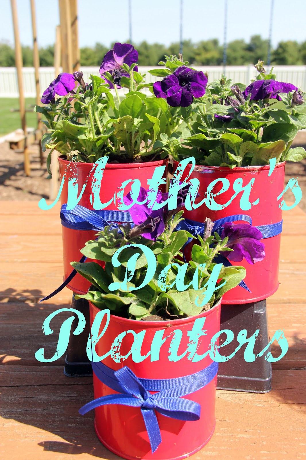 Adventures with Jude Our Mother's Day Planters