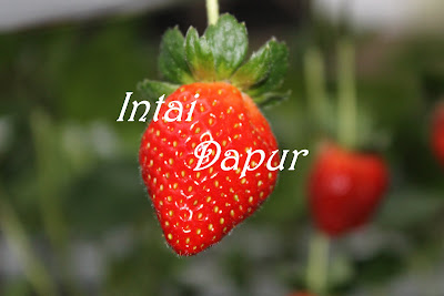INTAI DAPUR
