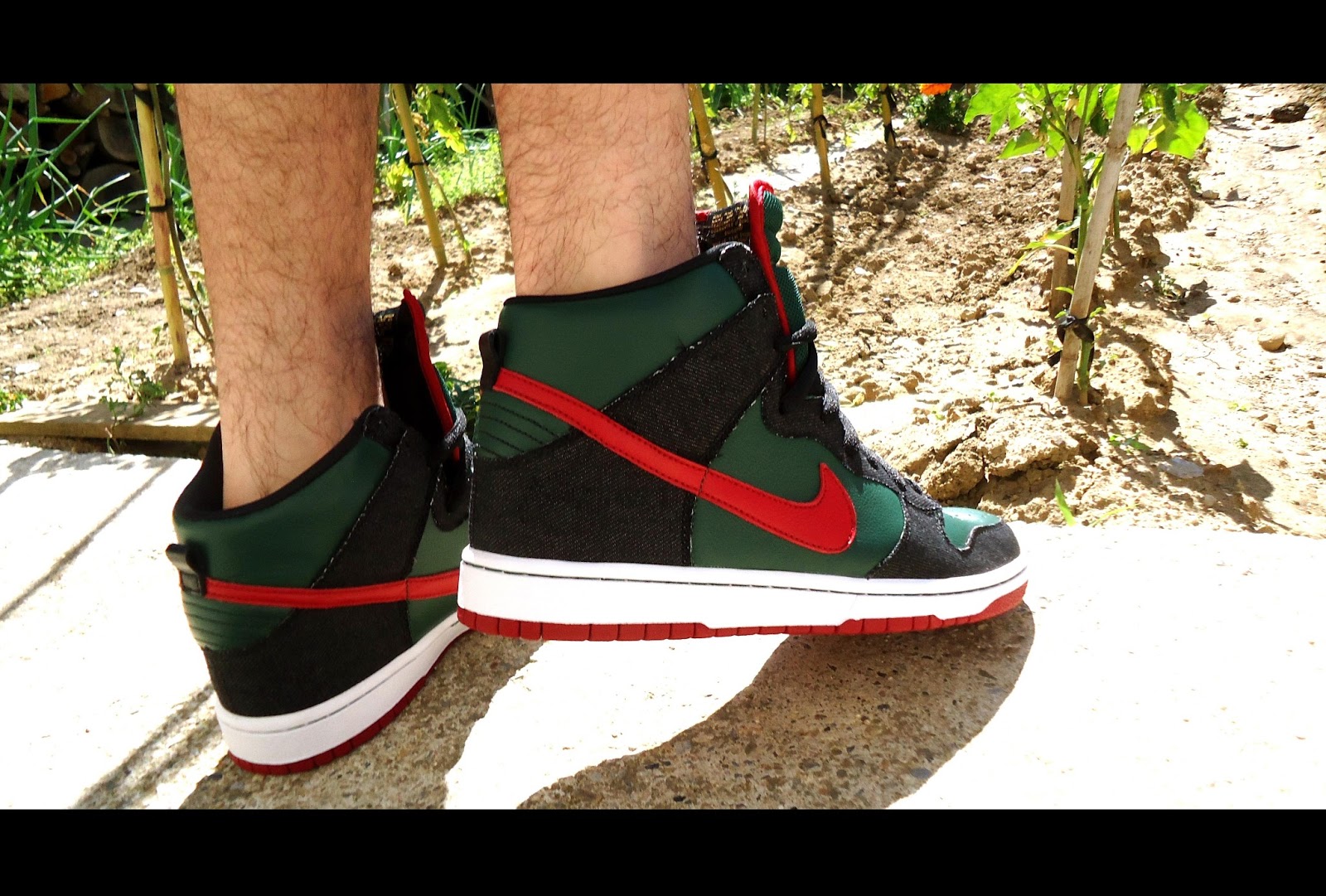 gucci sb dunk
