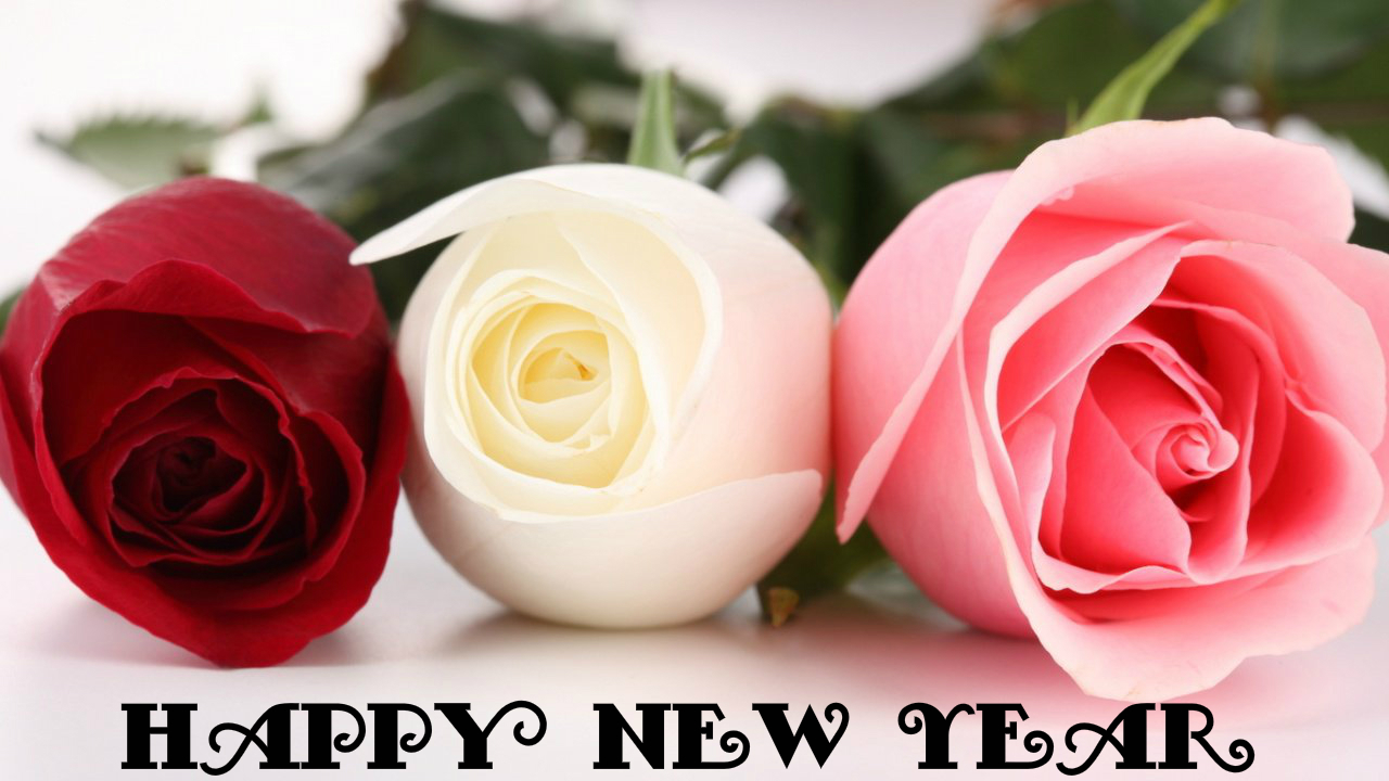 happy new year flower happy new year 2016 flowers photo bouquets wallpaper happy new year flower happy new year 2016 flowers photo bouquets wallpaper