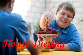 The risk of childhood obesity, the causes of childhood obesity, the treatment of childhood obesity,  The risk of childhood obesity, the causes of childhood obesity, the treatment of childhood obesity,