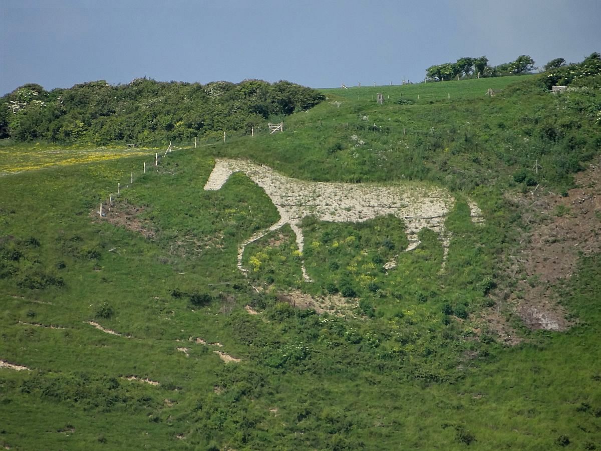 Walking the South Downs Way 2014