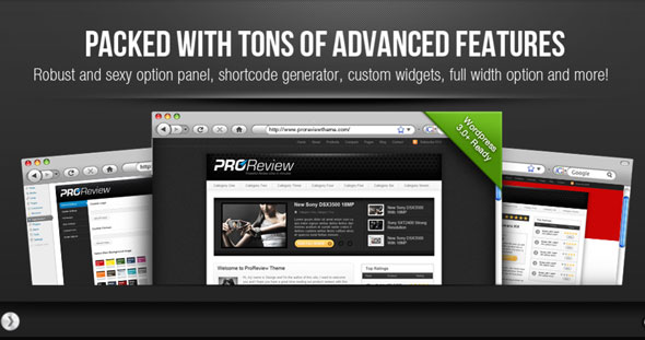 WordPress Pro Review Theme