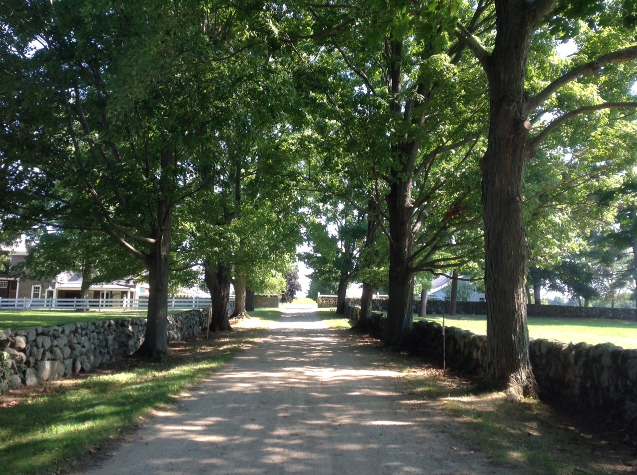 Life From The Roots Appleton Farms, Ipswich, Massachusetts