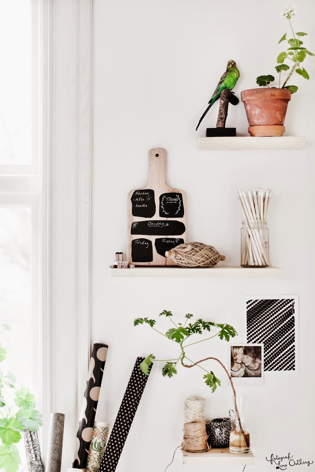 Bloglovin'