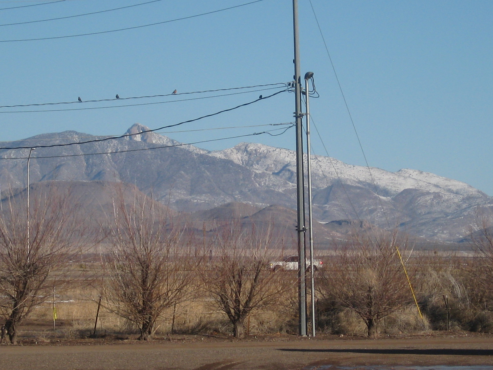 singles in deming new mexico