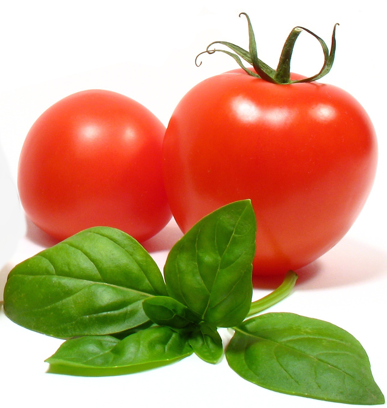 Cake Comt Ef Bf Bd Tomate Cake Comt Ef Bf Bd Tomate