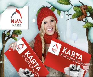 Listopadowe Promocje i wyprzedaże
