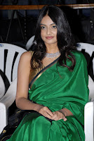 Its My Love Story Movie Audio Launch