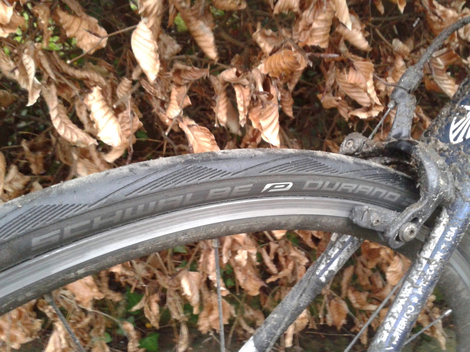 schwalbe durano tyres