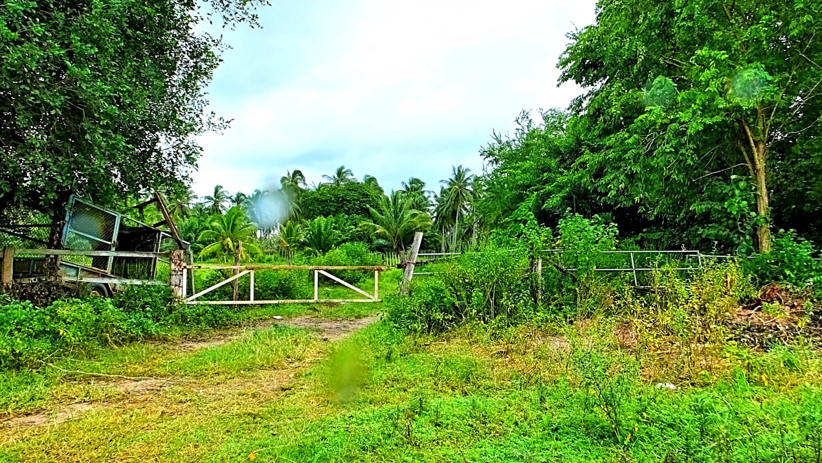 SN Farm Thap Sakae SN Farm Thailand