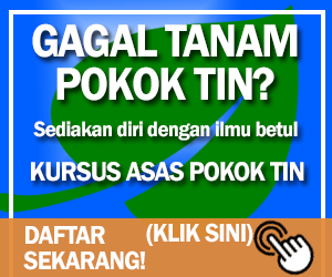 Kursus Pokok Tin