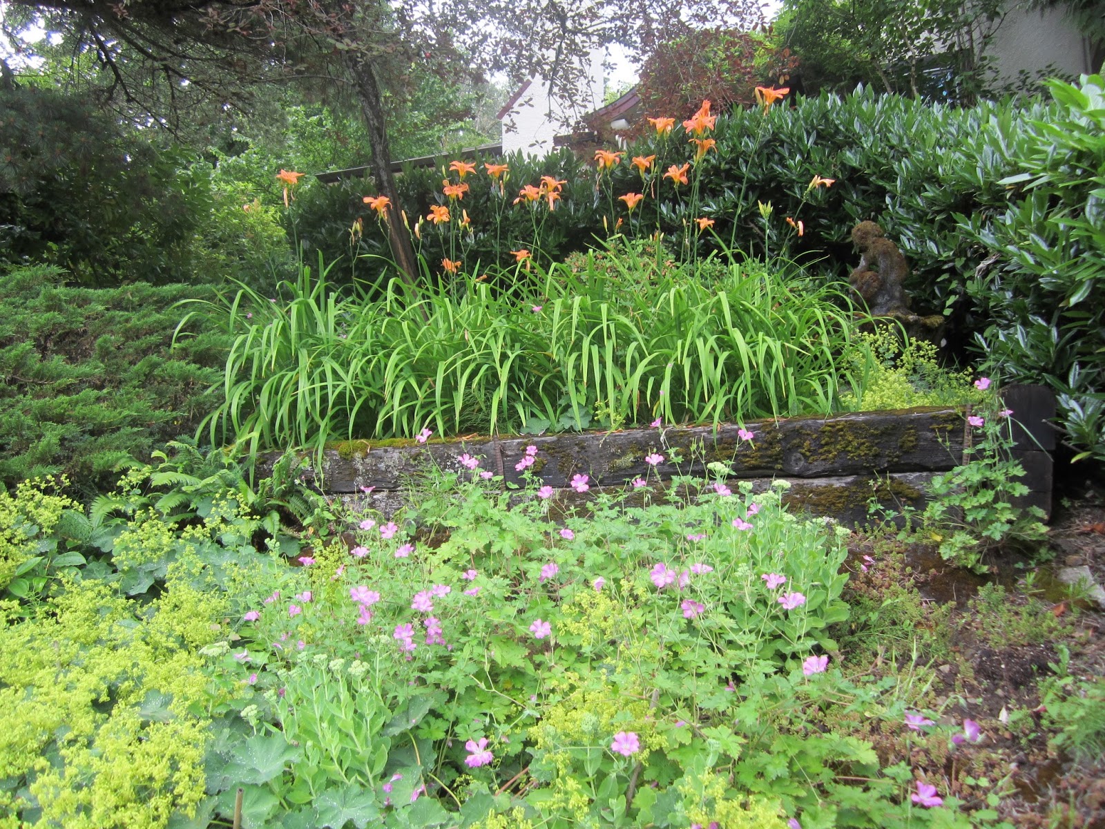 Sprouts Kathleen's Spectacular Shade GardenPortland, OR