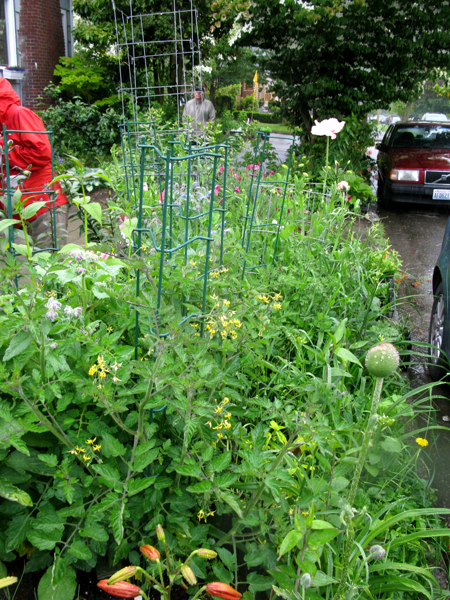 Growing Edibles in Vancouver, British Columbia Vegetables in the Front