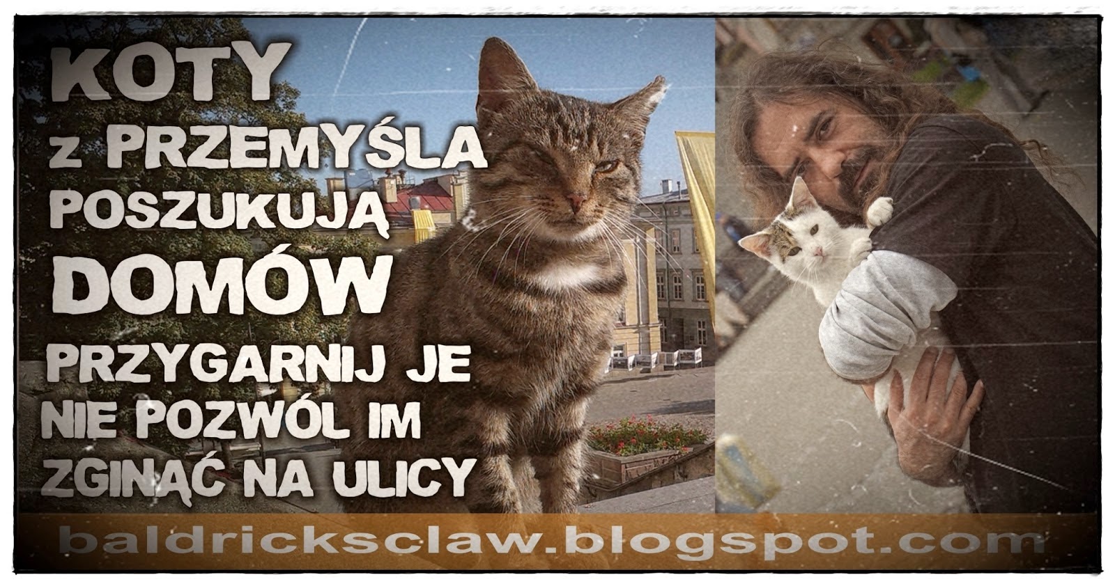 http://baldricksclaw.blogspot.nl/2014/10/ojczymatka-zastepcza.html#comment-form