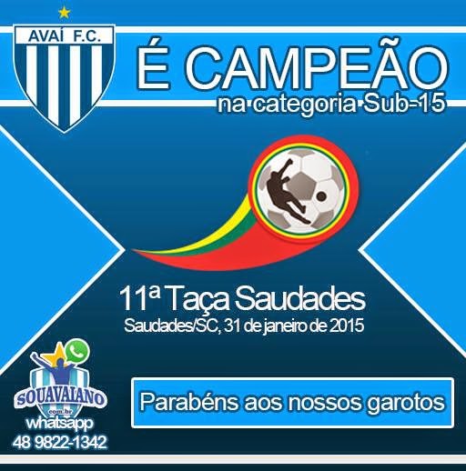 Blog do Tarnowsky: Jogos do Avaí na Copa Santa Catarina