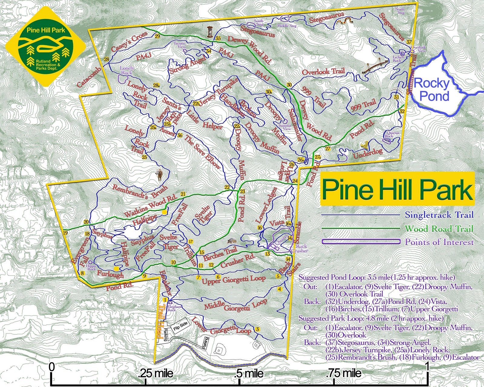 Nor'Easter Backcountry Trip Report Pine Hill Park Now There's A