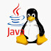 Changing the default Java for linux