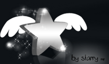 starrywings logo